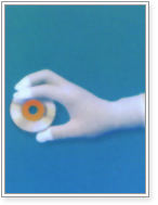 Ϳָ�޳�����